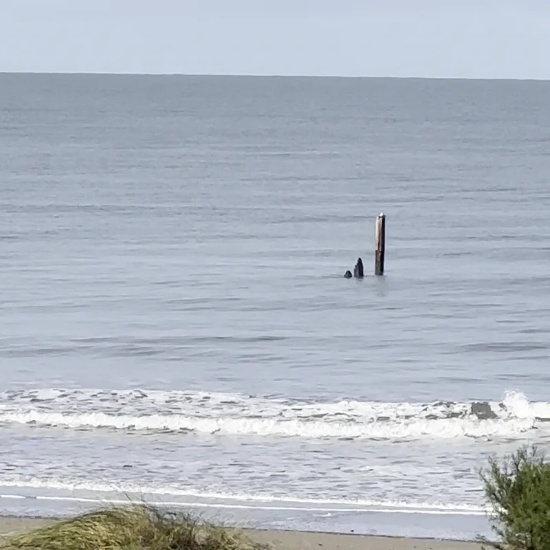 Video de archivo del mar y la costa de Monte Hermoso